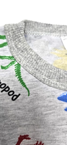 Dinazorlu Çocuk Pijama Takım - 4