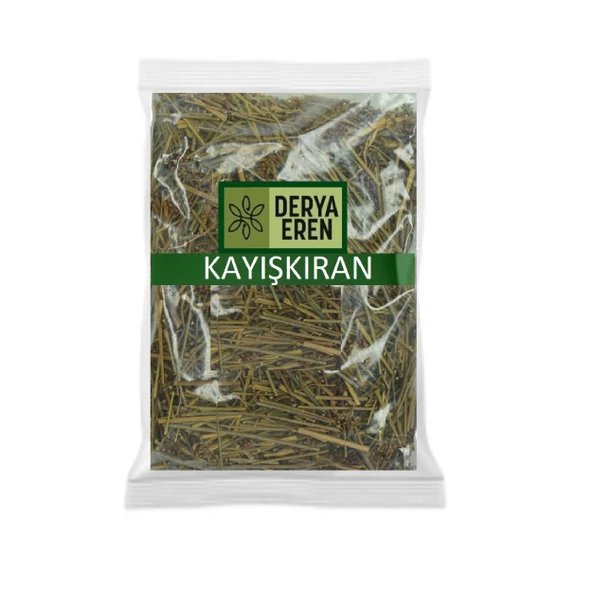 Kayışkıran Otu (Kayış Kıran) 1 kg, Derya Eren