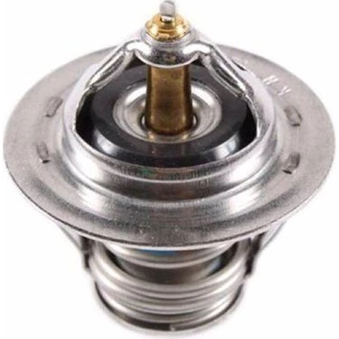 TERMOSTAD Hyundai STAREX 98-08  CARİSMA