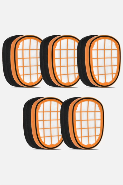 Philips 8000 Serisi Aqua Plus Titanium Uyumlu Şarjlı Dikey Süpürge Hazne Filtresi 5 Adet