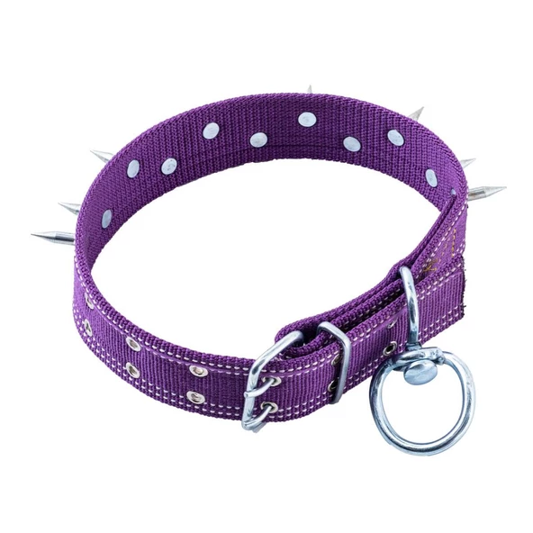 Dokuma Çivili Köpek Boyun Tasması - 5*80 cm - Mor - Resim 5