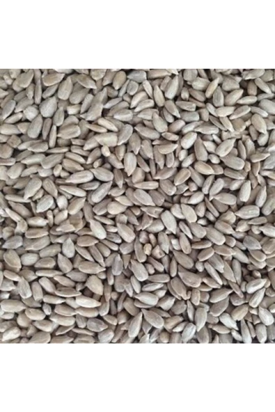 Ayçekirdeği Içi 750 G - 2