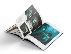 Harry Potter Film Dehlizi 1 - Orman Göl ve Gök Yaratıkları  Ciltli Orijinal Jelatininde - 2