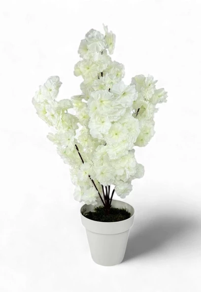 Yapay Ağaç Bahardalı Ağacı Beyaz Japon Kiraz Çiçeği Sakura Çiçeği 80cm Beyaz Plastik Saksılı