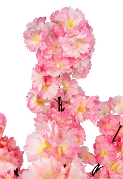 Nettenevime Yapay Ağaç Bahardalı Ağacı Pembe Japon Kiraz Çiçeği Sakura Çiçeği 70cm Beyaz Plastik Saksılı - Resim 3