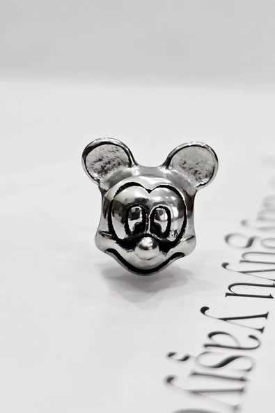 ÇELİK CHARM MİCKEY 2 - 2