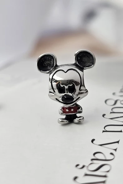 ÇELİK CHARM MİCKEY 3 - 5