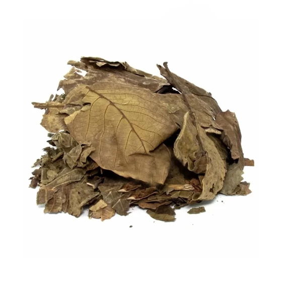 Ceviz Yaprağı 500 gr, Derya Eren - Resim 2