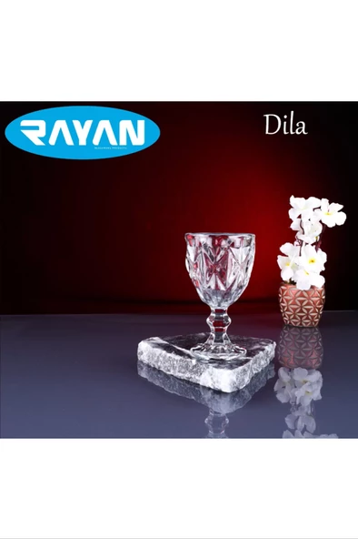 Dila 6'lı Kahve Yanı Bardak  -RYG8006