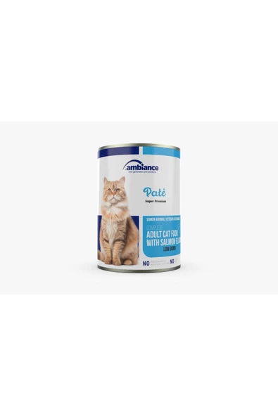 Ambiance Ambiance Yetişkin Somon Etli Kedi Konserve 415 gr