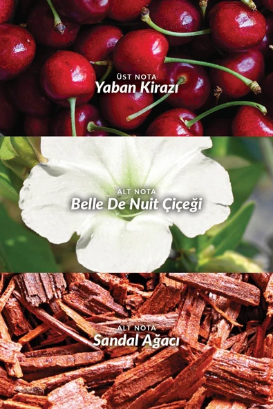 Avon Far Away Beyond The Moon Kadın Parfüm Edp 50 Ml. - Resim 2