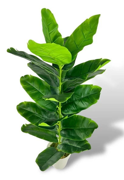 Nettenevime Yapay Çiçek Starliçe 80cm 23 Yapraklı Salon Çiçeği Beyaz Saksılı Yapay Bitki - Resim 6