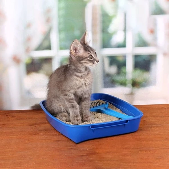 Sanicat Active Marsilya Sabunlu Topaklaşan Kedi Kumu İnce 10 Lt - 3