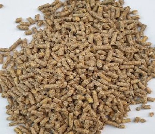 20 kg Tavuk Yumurta Yemi Pelet Yem Yumurta Verimini Artıran Pelet Gezen Tavuk Yemi