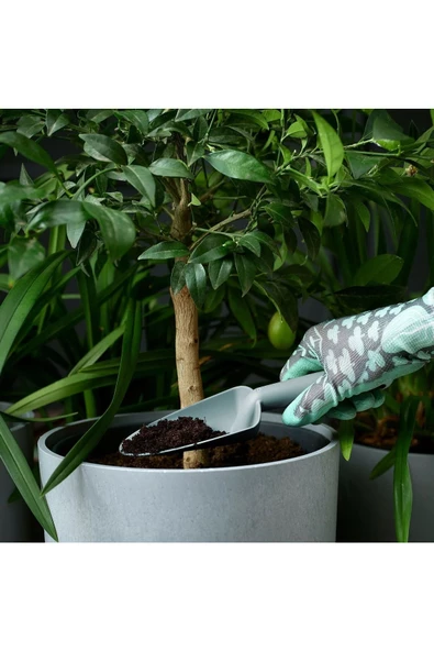 Ereganto - Grasmarö Bahçe Seti, Kürek, Tırmık, Bitki Küreği Açık Gri - Mavi - 4