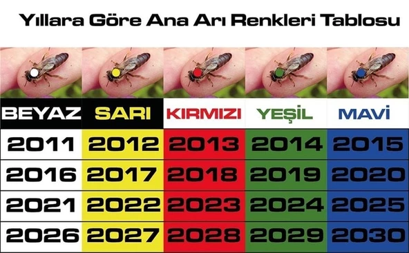 Ana Arı İşaretleme Boyama Kalemi ve Tüpü Set - 4