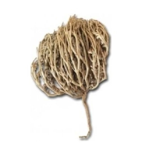 Meryem Ana Eli Otu (Fatma Ana Eli) Anastatika Hierochuntica 500 gr, Derya Eren - Resim 3