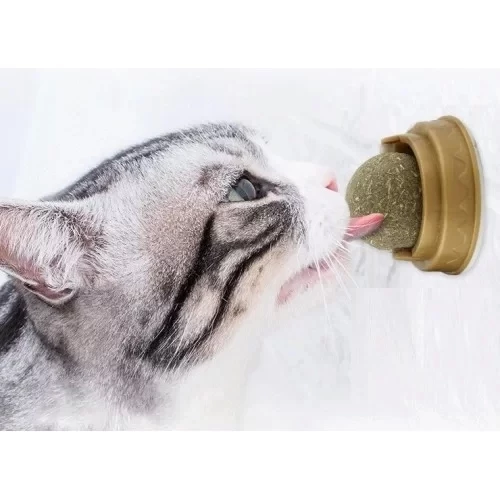 Kedi Nanesi Oyun Topu - 3