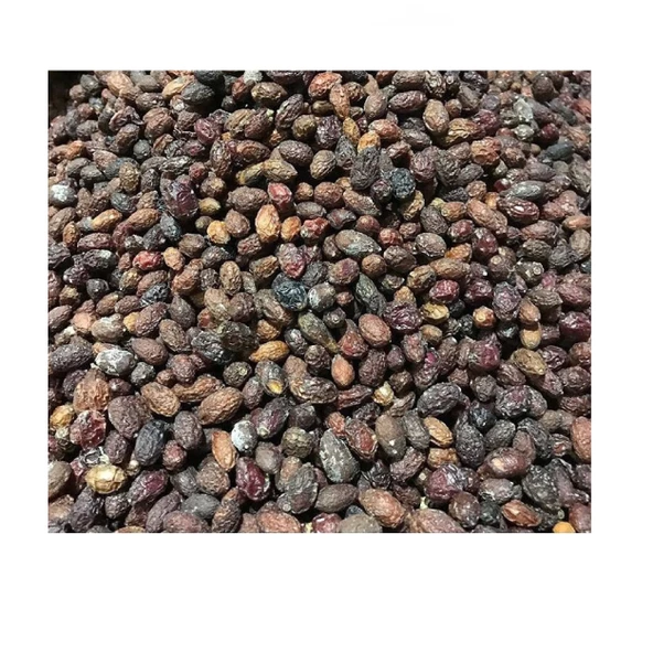 Kızılcık Kurusu (Cornus mas) 100 gr, Derya Eren - 3
