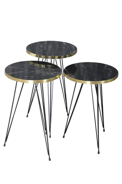 Zigon Sehpa Siyah Ayak Altın Bendir Tel 1053 ürün görseli 1