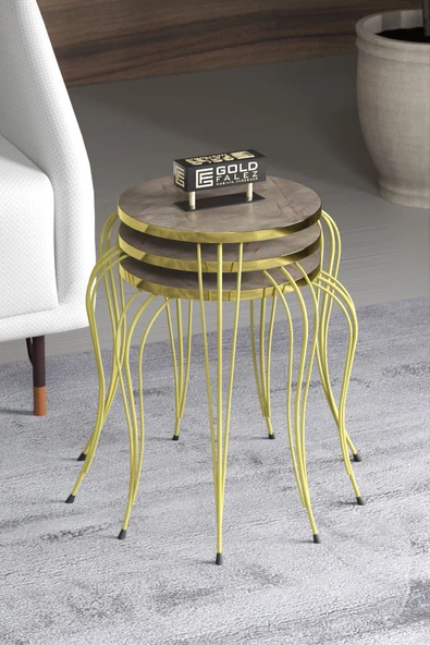 ZİGON SEHPA LÜKENS GOLD GORDİON - Resim 2