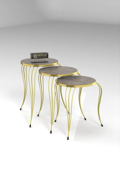 ZİGON SEHPA LÜKENS GOLD GORDİON - Resim 4