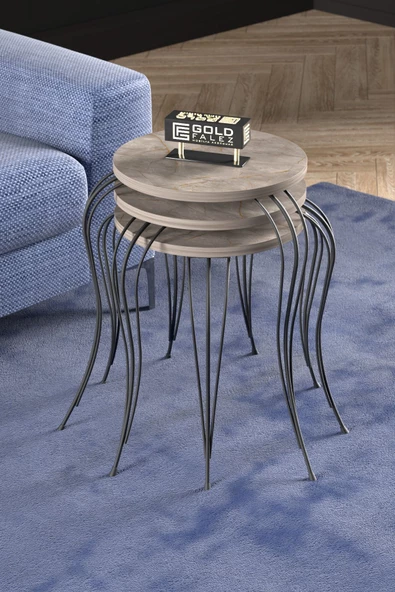 ZİGON SEHPA LÜKENS GORDİON - Resim 2