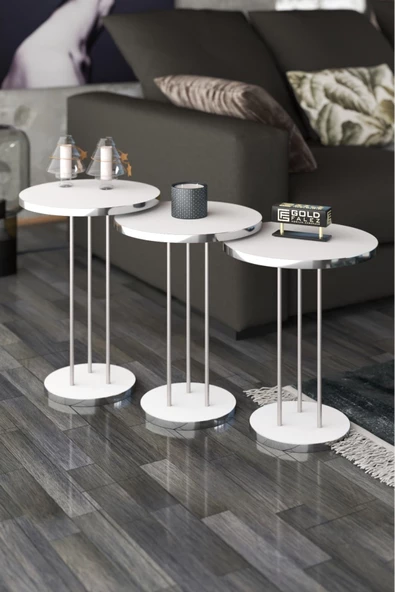 Zigon Sehpa Terra Gümüş Beyaz - Resim 3