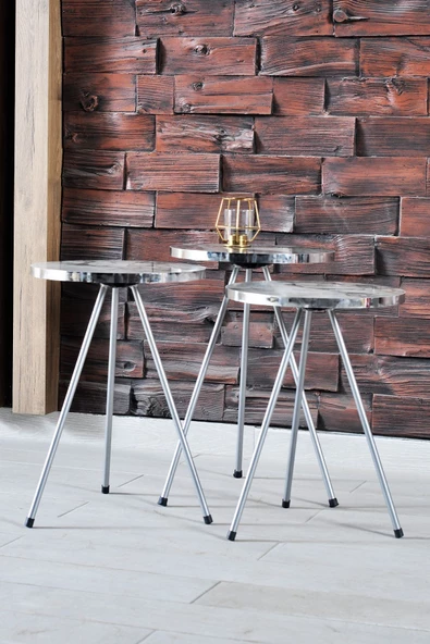 Orta Sehpa Gümüş  Elips Siyah Metal Ayak - Resim 2