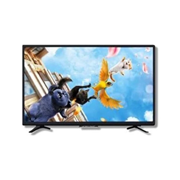 Dreamstar 32'' Uydulu LED Tv DS-3256