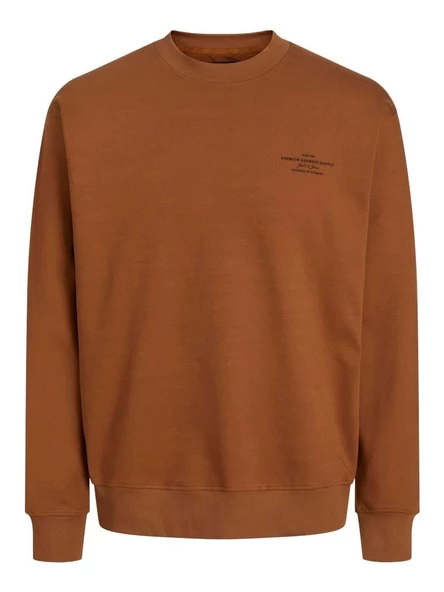 JPRBLACHAD BRANDING SWEAT CREW NECK LN Nuthatch