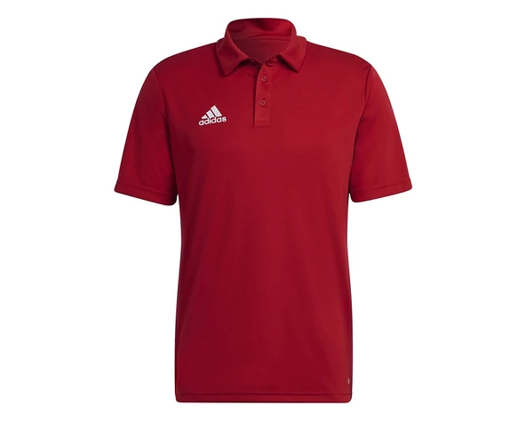 Adidas H57489 Ent22 Erkek Polo Tişört