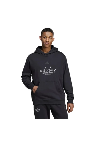 Adidas IW3533 Bl Ft Hd Q3 Erkek Sweatshirt