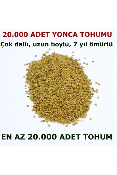 TohumGübre  Yonca Tohumu 20.000 Adet