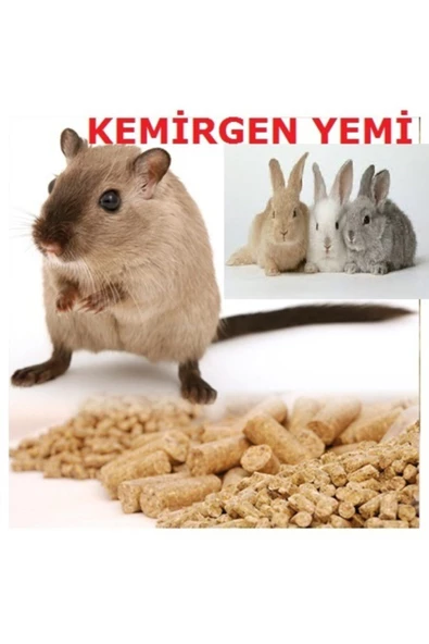 Sağlıklı Yaşam  1 Kğ Kemirgen Yemi