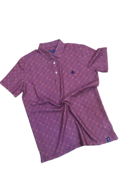 Qwerty Polo Yaka Ve Gömlek Yakalı Desenli T-shırt - 3