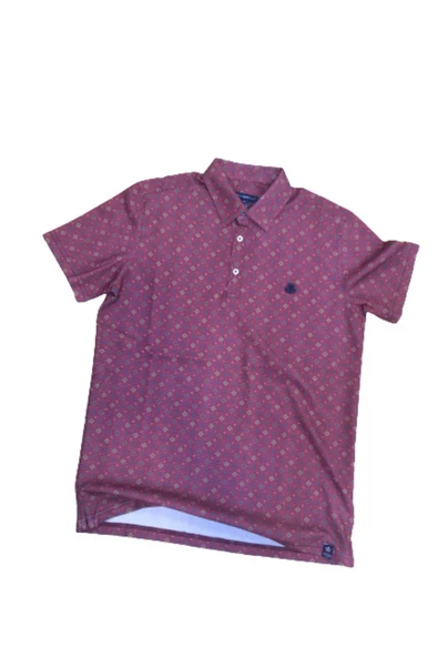 Qwerty Polo Yaka Ve Gömlek Yakalı Desenli T-shırt - 2