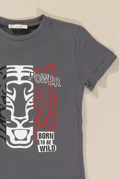 Kaplan Baskılı Tshirt Şort Antrasit Takım - 2