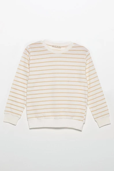 Çizgili Sweatshirt Jogger Taş Alt Üst Takım - 2