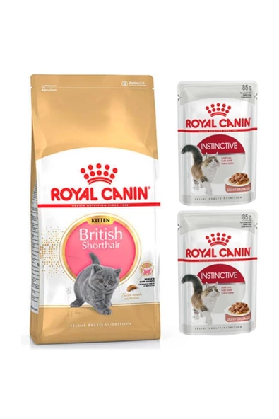 Proplan British Shorthair Kitten Yavru Kedi Maması 2 Kg +  Parça Etli Yaş Mama 2 Adet (original)