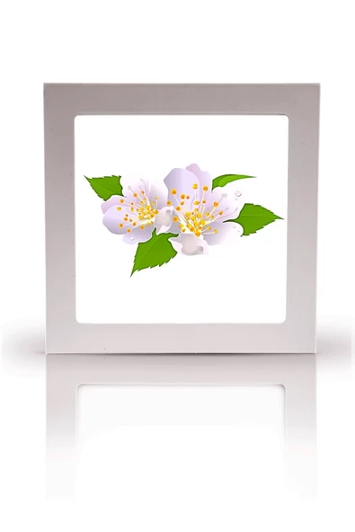 Gökyüzü Panel Koridor Avize-60x60-54w-led-armatür-koridor-aydınlatma-desenli-panel-koridor-led-lamba-ışık Tavan - 3