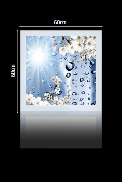 Gökyüzü Panel 1x1-tekli-60x60-tavana Yapışık Led Panel-54w-sıva Üstü Evize-kolay Montaj-damlalı- Led - 2