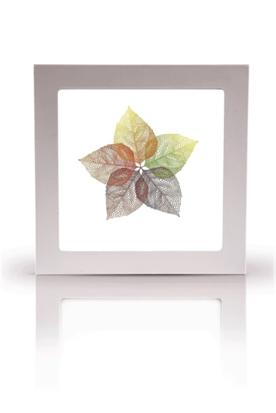 Gökyüzü Panel Banyo Avize-60x60-54w-led-armatür-wc-aydınlatma-desenli-panel-banyoled-ıp54-55 Su Almaz Led-tekli - 3