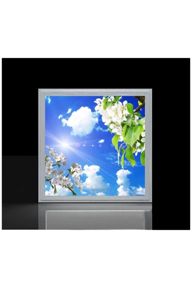 Gökyüzü Panel 60x60 Ledli-trendyol Avize-bulutlu Çiçekler Tavan Avize-54watt-tavana Yapışık Lamba-salon Avize - 2