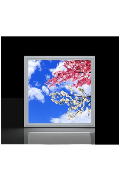 Gökyüzü Panel 60x60 Ledli, Baskılı-trendyol Avize Modeli-led Avize-54watt-tavana Yapışık Lamba-yatak Odası Avize - 4