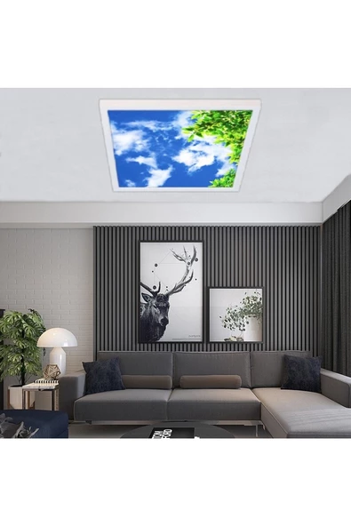 Gökyüzü Panel Hd Led Aydınlatma - 54watt - 60cm X 60cm - Ev Avize -tavana Yapışık Model- Kolay Montaj Avize - 1
