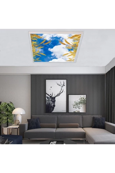 Gökyüzü Panel Salon Avize Modeli - 54watt Aydınlatma -60cmx60cm -led Işık Avize- Baskılı Tasarım-tavana Yapışık