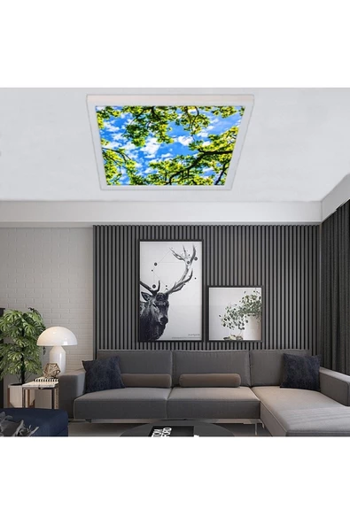 Gökyüzü Panel Salon Avize- 54watt - 60x60 -led Aydınlatma-tavana Yapışık-kolay Montaj Avize- Beyaz Çerçeve - 3