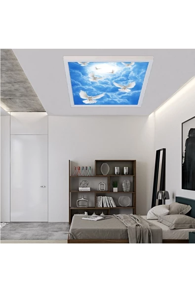 Gökyüzü Panel 54watt-güçlü Işık-modern Tasarım-60x60 54w Ledli Tavan Avize-kuş Cenneti-tavana Yapışık Salon Avize - 3