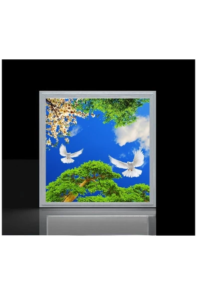 Gökyüzü Panel Led 60x60 Büyük Model Hd Baskılı-trendyol Avize-ev-banyo-salon Avize Modelleri-54watt-tavana Model - 3